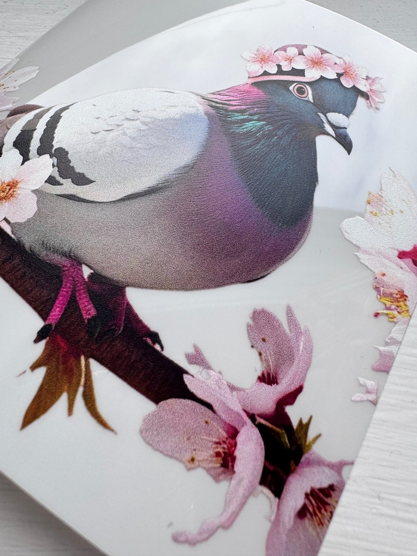 pigeon and pink blossom window cling sticker