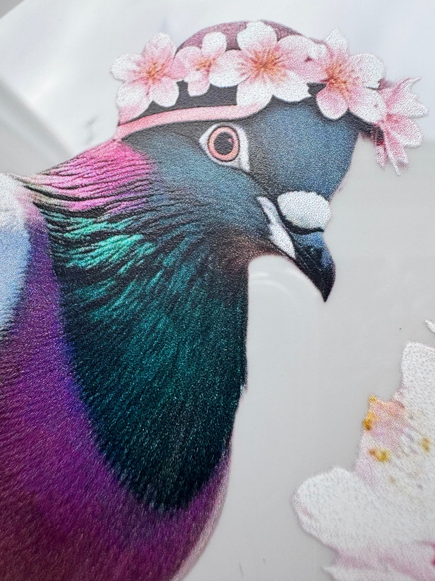 pigeon and pink blossom window cling sticker