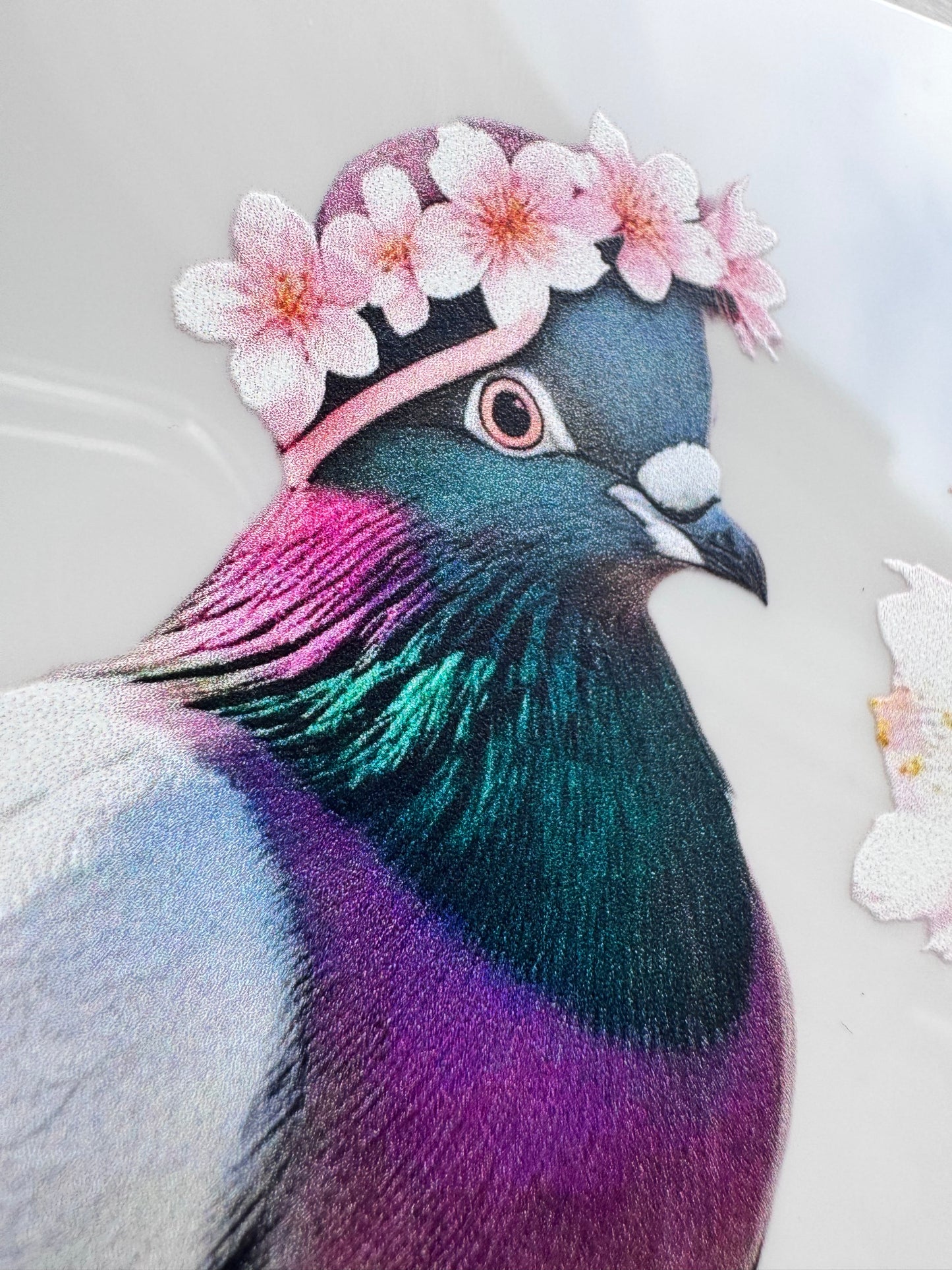 pigeon and pink blossom window cling sticker